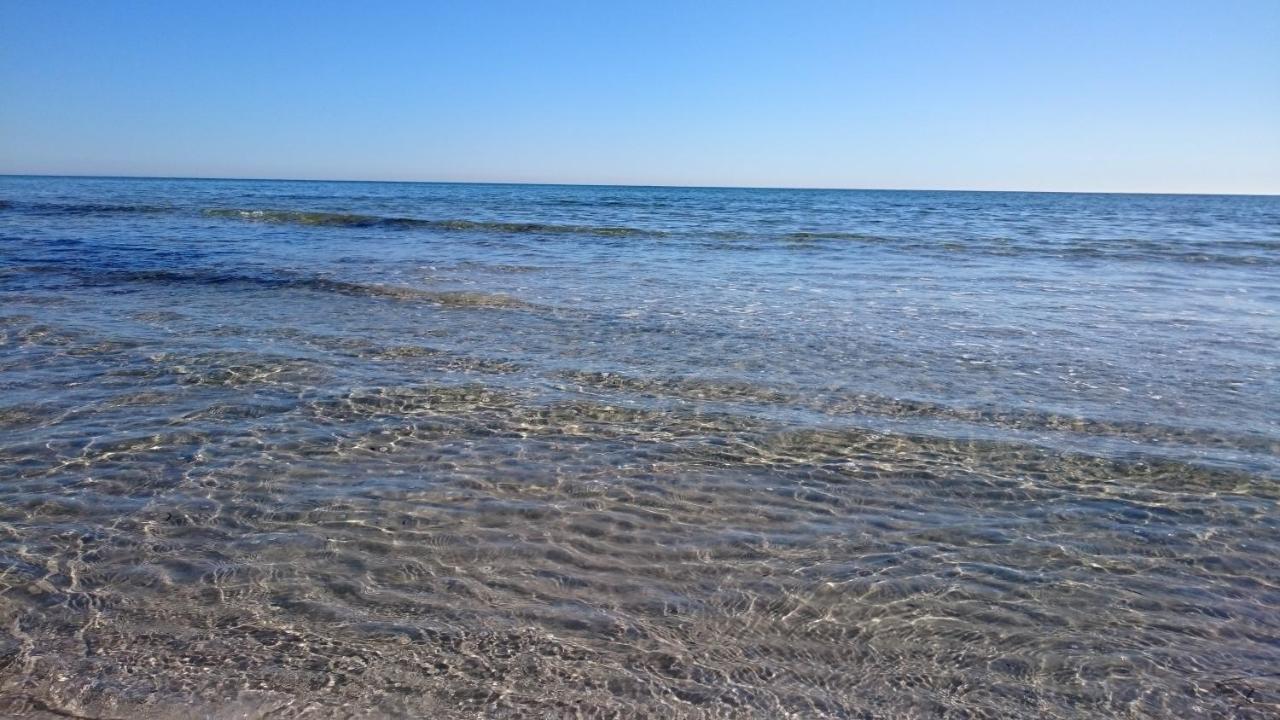 Höllviken Tiny House 200 M From Kaempinge Beach מראה חיצוני תמונה