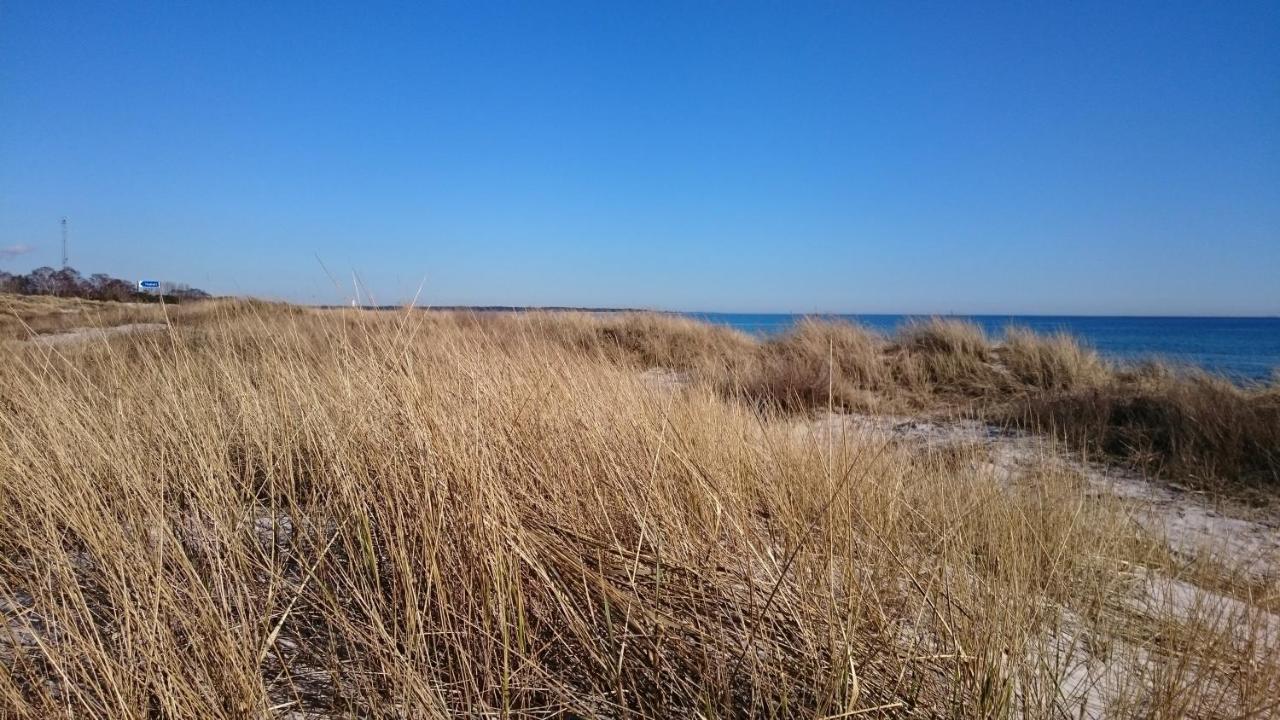 Höllviken Tiny House 200 M From Kaempinge Beach מראה חיצוני תמונה